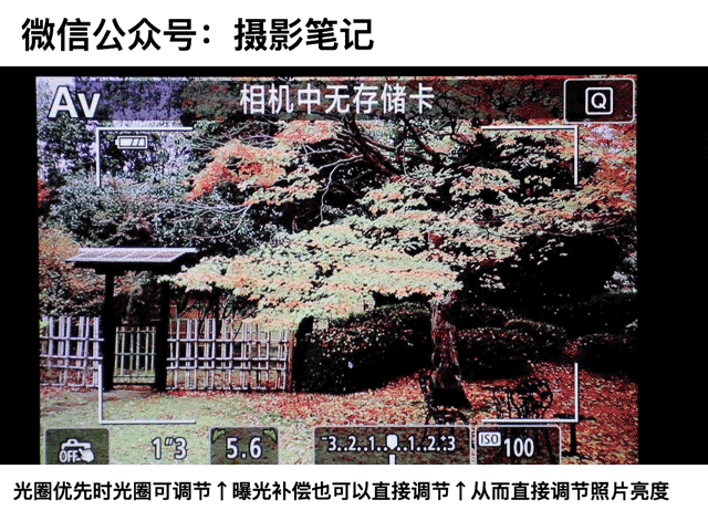 圈优先 你的曝光模式首选！尊龙凯时app平台A档 光(图5)