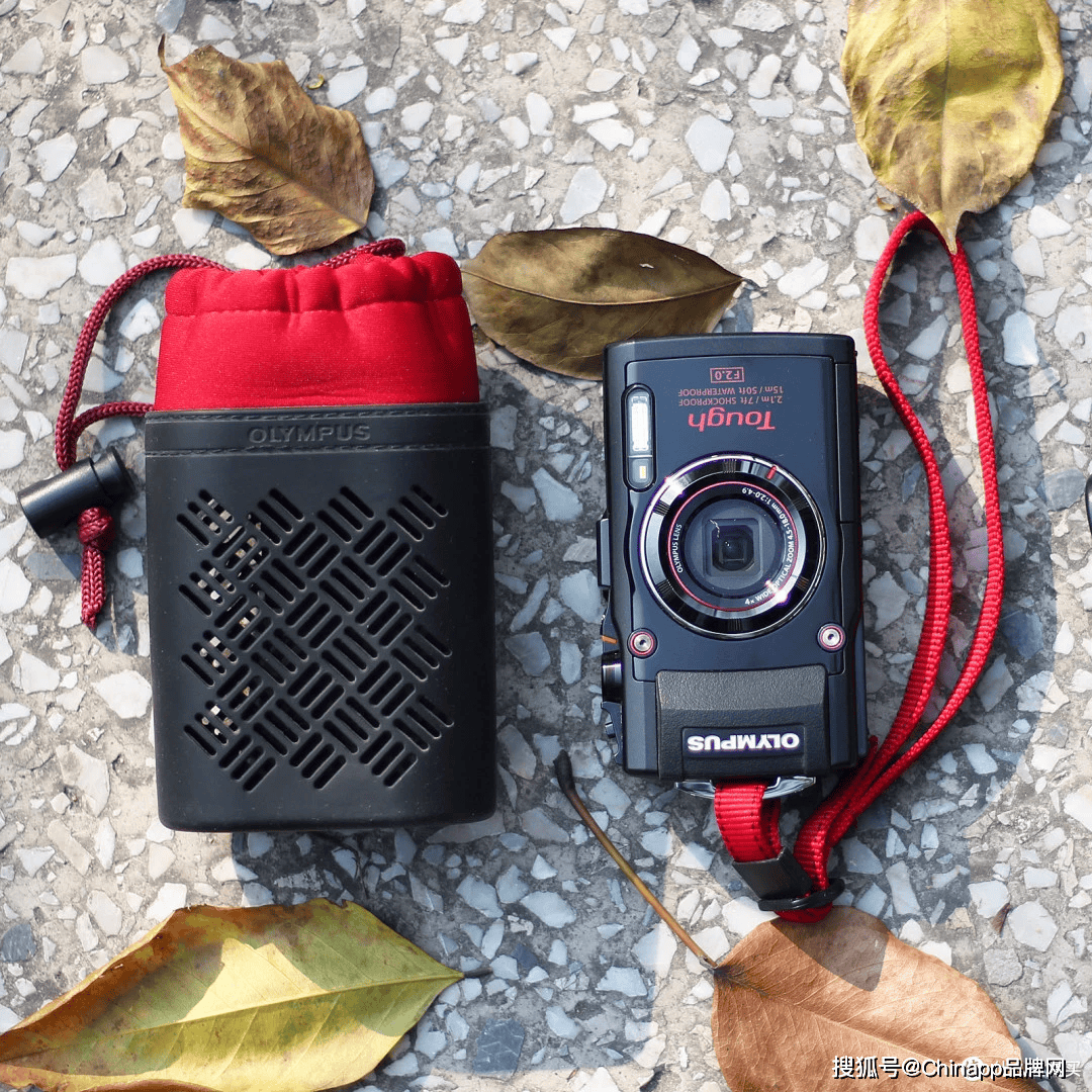 颜值高性能运动相机品牌Top10拍照录像都稳了尊龙凯时app旅行党、运动控必看！2026高(图10)